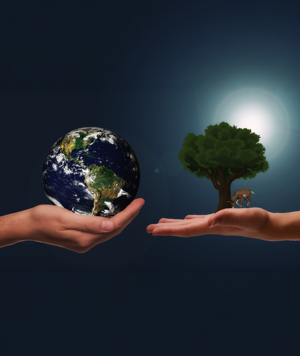 Shaping the next generation of leadership